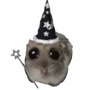 Стикер Hamster