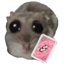 Стикер Hamster