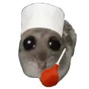 Стикер Hamster