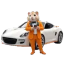 Hamster cards