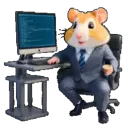 Стикер Hamster cards