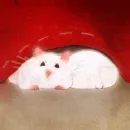 Стикер Hamsters