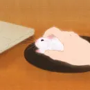 Стикер Hamsters