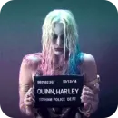 Стикер Harley Quinn