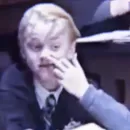 Стикер ✧ˎˊ Harry potter Memes