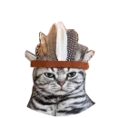 Стикер Cats in hats