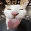 Стикер Hehoz