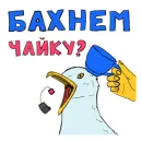 Стикер Хохма