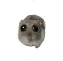 Стикер sad hamster