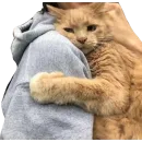 Лучший в своем роде