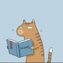 Hot idioms