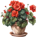 Стикер House Plants
