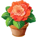 Стикер House Plants