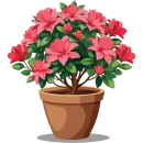 Стикер House Plants