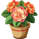 Стикер House Plants