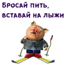 Стикер Walrus
