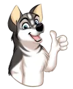 Huscai the Husky