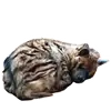 Стикер yeener