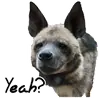 Стикер yeener