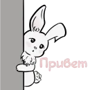 Стикер little bunny