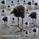 Стикер Киви