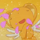 Icons Cardcaptor Sakura
