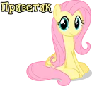 Im Fluttershy