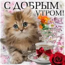 Открытки