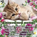 Стикер Открытки