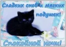 Стикер Открытки