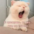 Стикер На случай важных переговоров