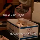 Стикер На случай важных переговоров