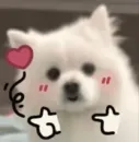 Inudog
