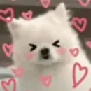 Стикер Inudog