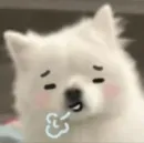 Стикер Inudog