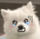 Стикер Inudog