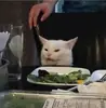 IpCatMeme