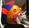 Стикер IpCatMeme