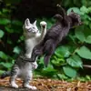 Стикер IpCatMeme