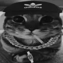 Стикер Izzy's Corporation