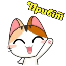 Японське Кошеня