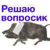 Стикер Kabanchikom