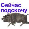 Стикер Kabanchikom