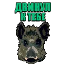 Стикер Кабанчик