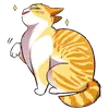 Стикер Кайден