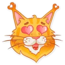 Стикер Kaiser Maine Coon