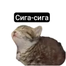 Kalimera