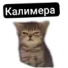 Стикер Kalimera