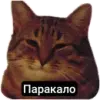 Стикер Kalimera