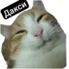 Стикер Kalimera